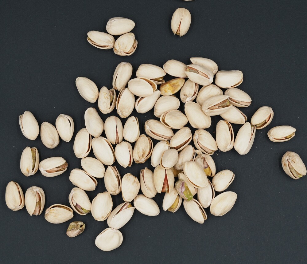 Premium Pistachio With Shell