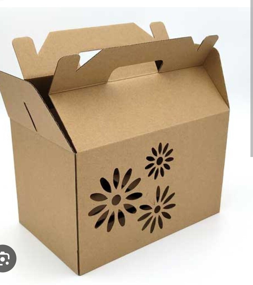 1 Ply Hardboard Corrugated Box jpeg
