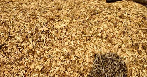 Mustard Husk