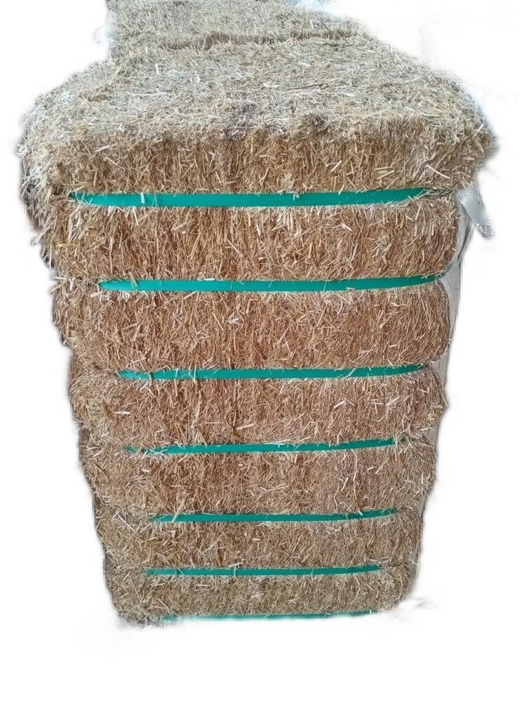 Wheat Straw
