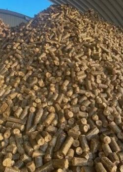 Bio Coal