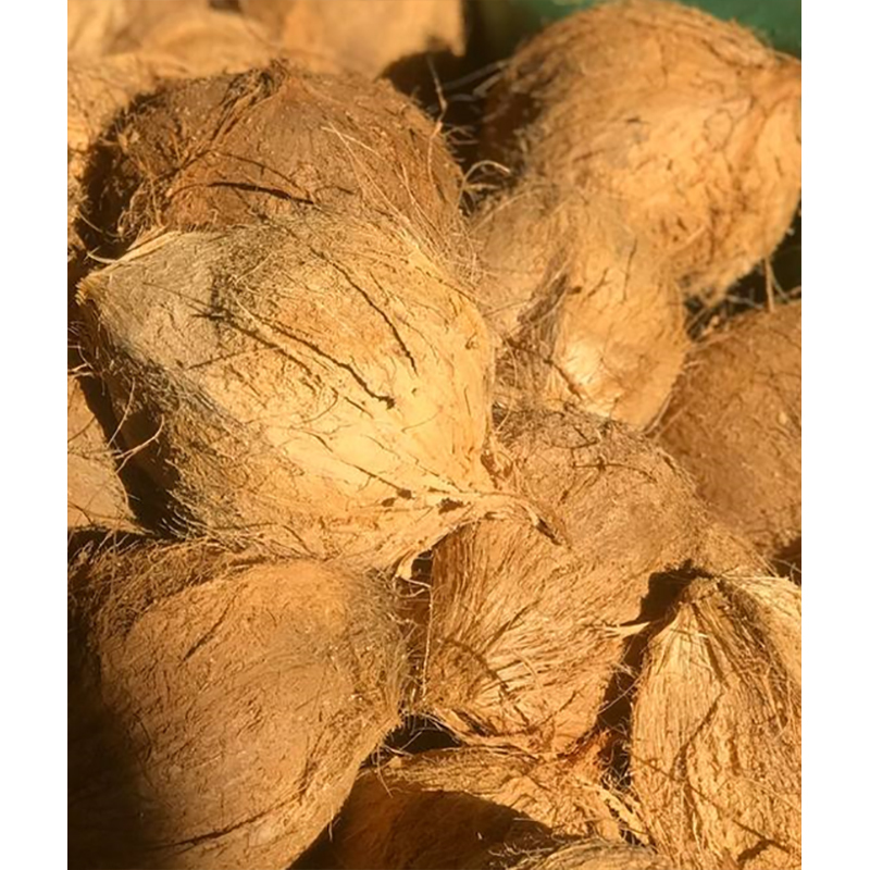 Fully Husked Coconut