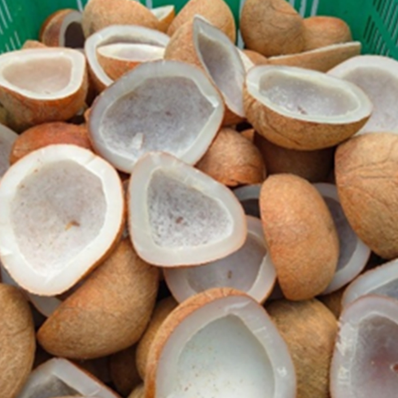 Coconut Copra