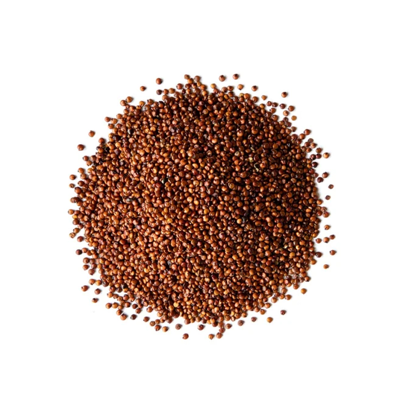 Ragi - Finger Millet