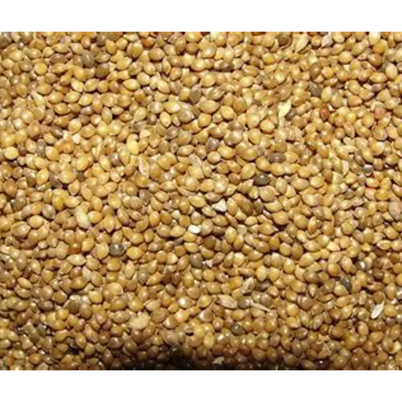 Samai - Little Millet