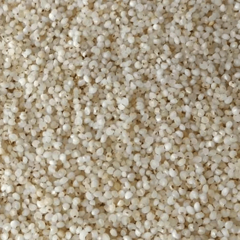 Kuthiraivaali - Barnyard Millet