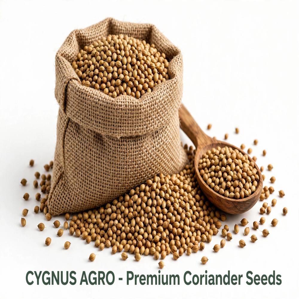 Coriander Seeds