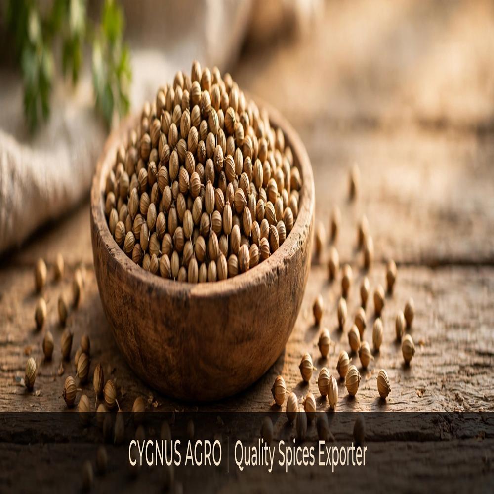 Coriander Seeds