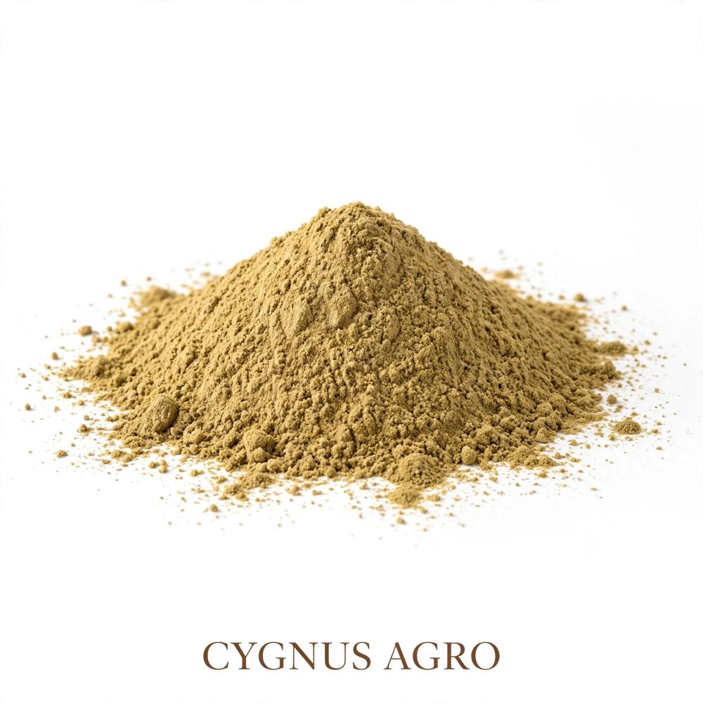 Coriander Powder - Color: Light Brown To Yellowish-brown