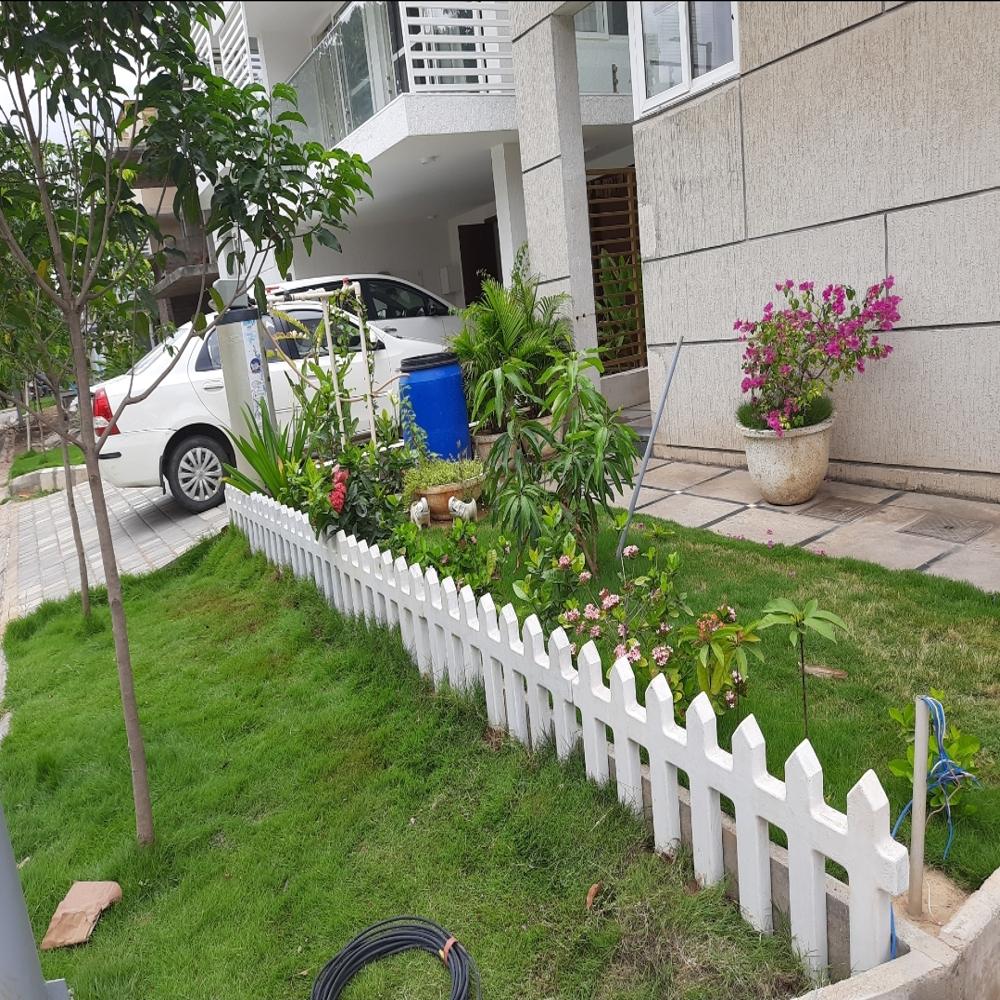 Picket Fence