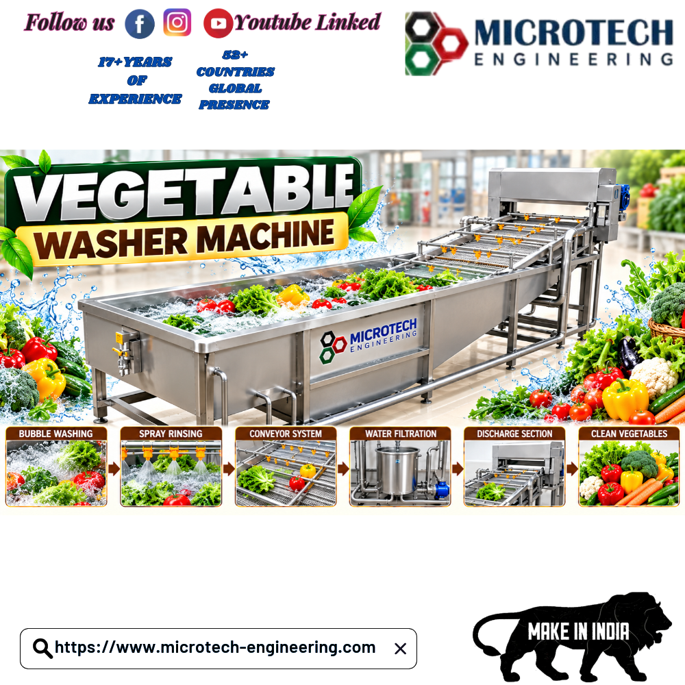 Vegetable Washer machine