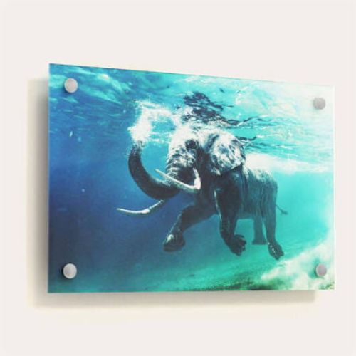 Acrylic Printing