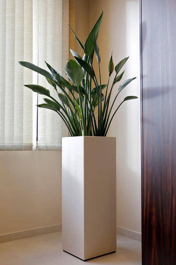 frp planter box
