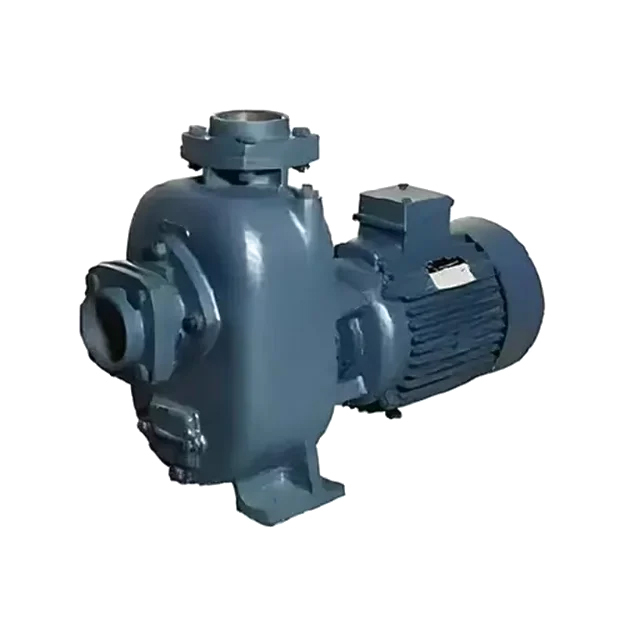 Dewatering Pumps