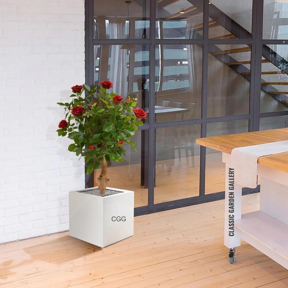 Square Planter Box