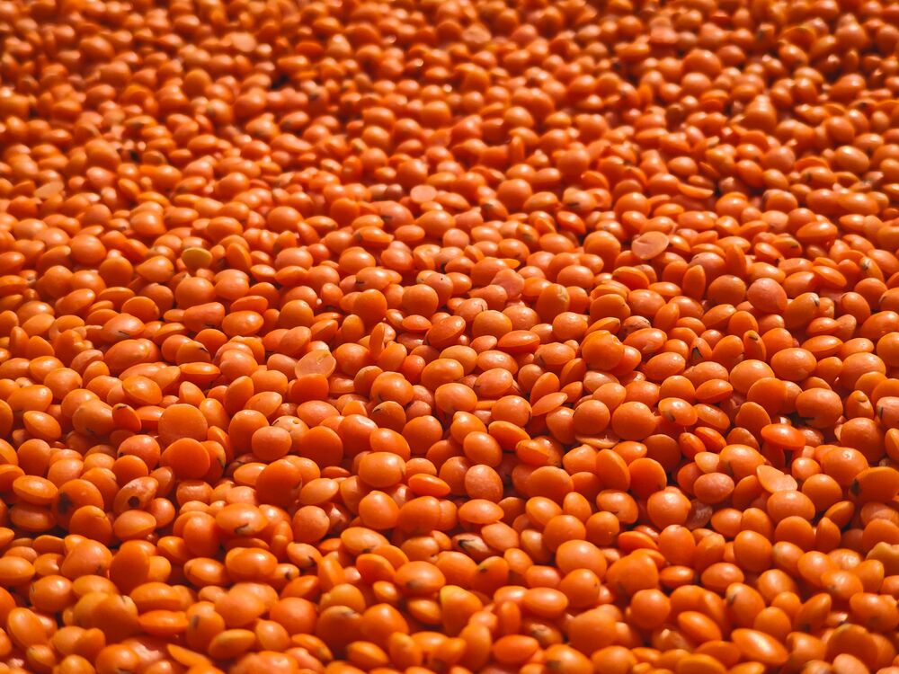 Masoor Dal