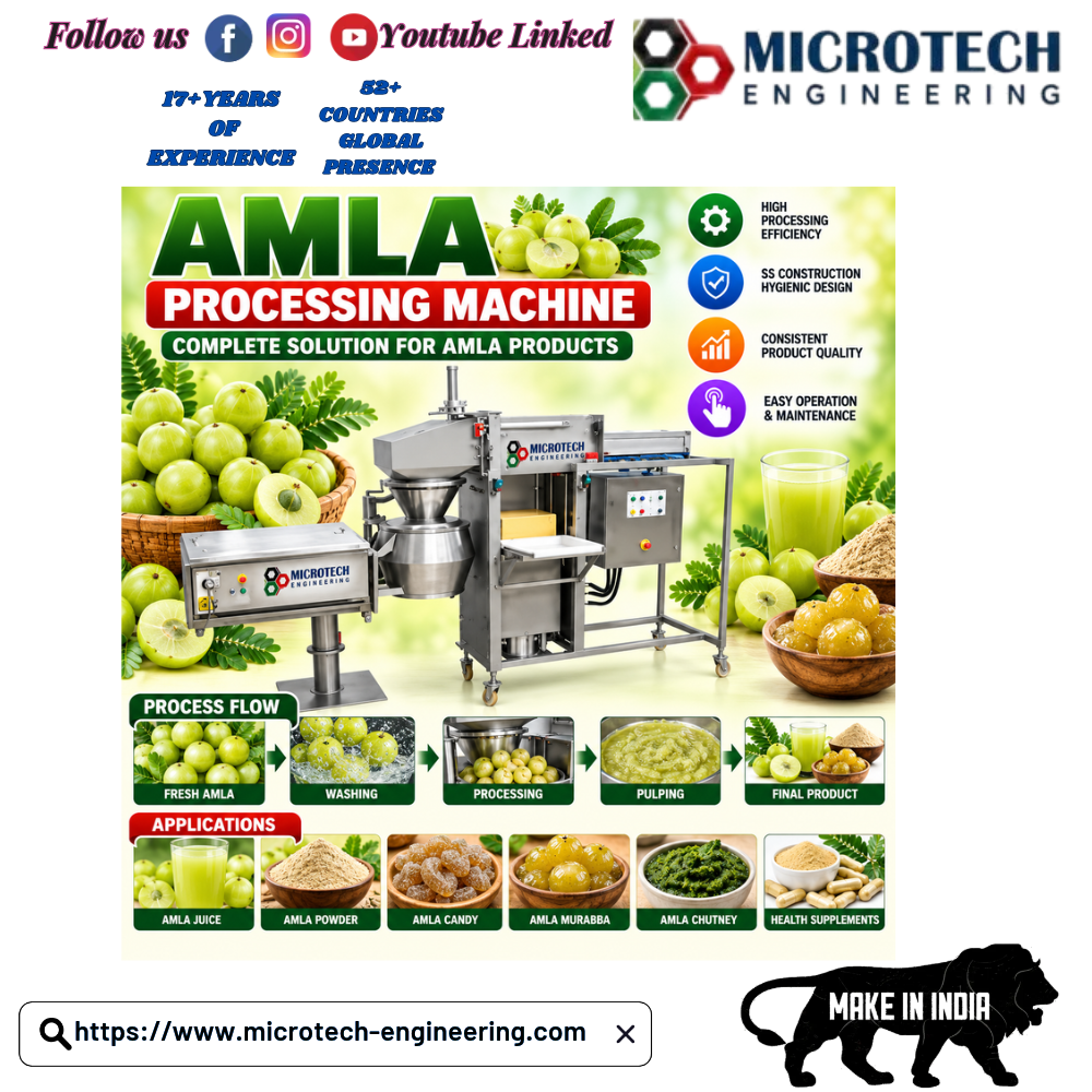 Amla Processing Machine