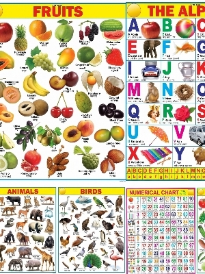 Educational School Charts