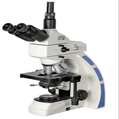Nikon Student Compound Microscope