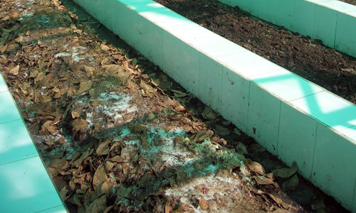 Agro Vermiremediation