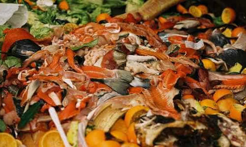Industrial Canteen waste Processing