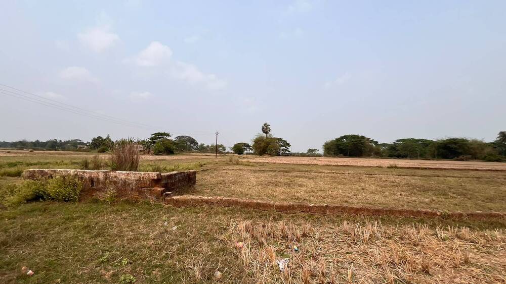 Agricultural Land Plot