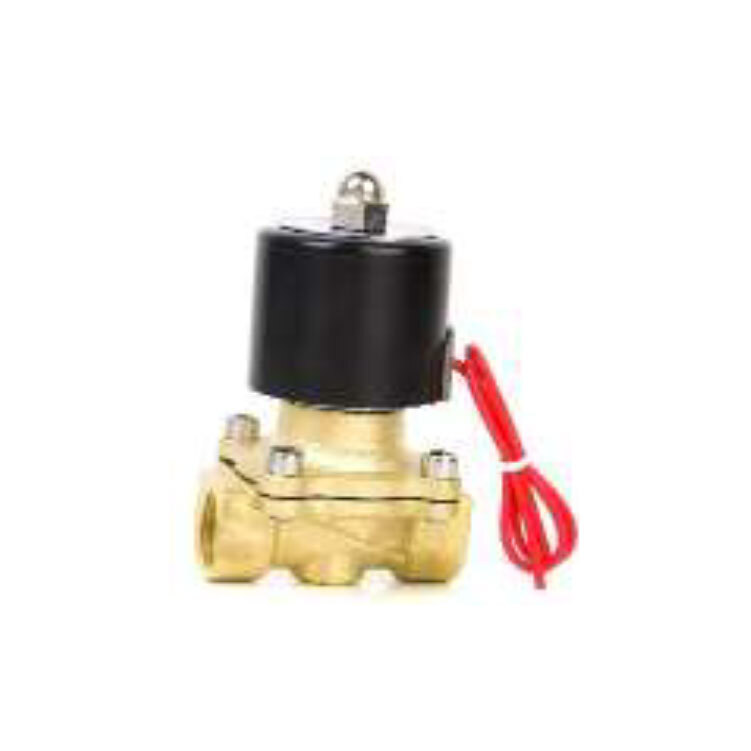 2-2 Way Brass Solenoid Valve