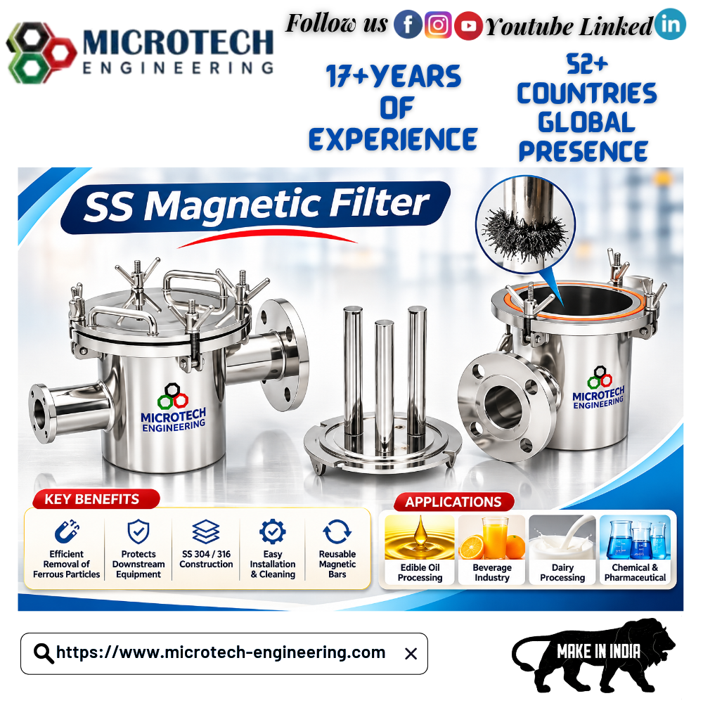 SS Magnetic Filter