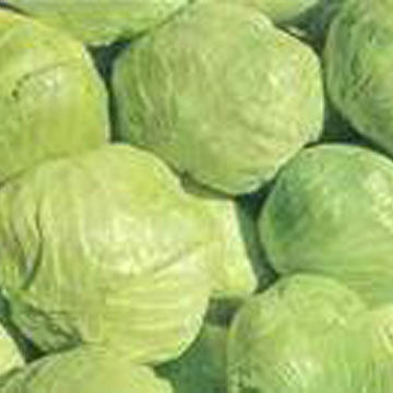 Cabbages