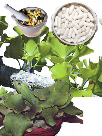 फार्मास्यूटिकल्स और औषधीय पौधे