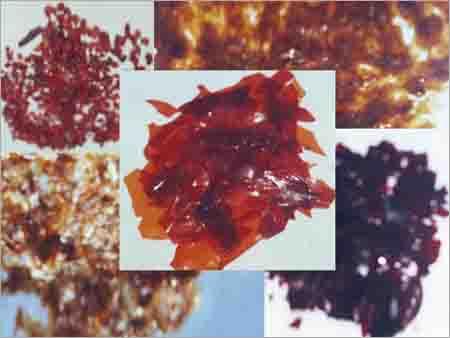 चपड़ा और बीज लाख