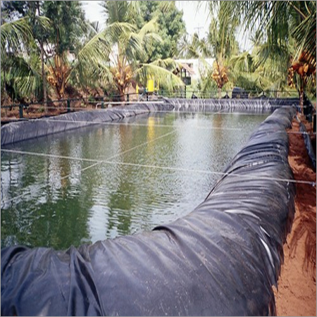 LDPE शीट