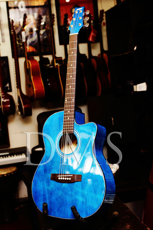 Ashton AJR-39 Acoustic Guitar