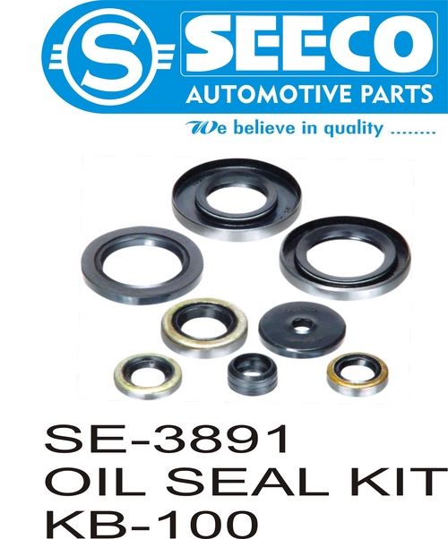 OIL SEAL KIT - Steel, Weight: 20-200g | Features Patented Wave Seal Lip Design, Polished Finish for Automotive Applications, Lubricant Retention