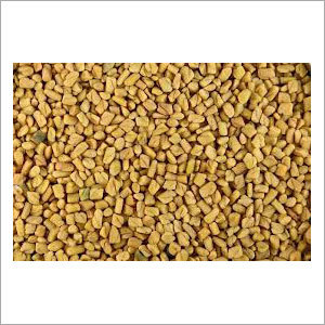 Fenugreek Seeds