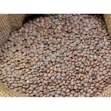 काली मसूर दाल