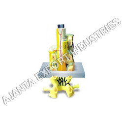 Human Spinal Cord And Vertebra Equipment Materials: Pvc  & Metal