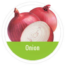 Fresh Red Onion - Organic Red, Variable Diameter, Round Shape | Crisp Texture, Pungent Taste, Multiple Layers, Uniform Size