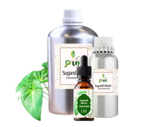 Sugandh Mantri Oil - Age Group: All Age Group