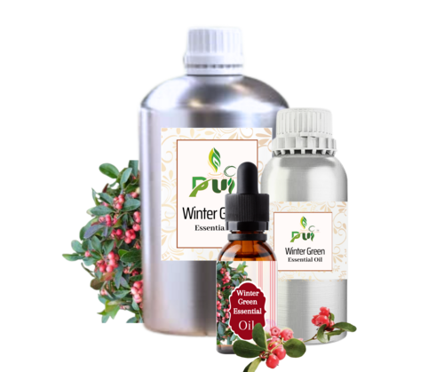 Wintergreen Oil - Gaultheria Procumbens, Pale Yellow To Reddish Brown Liquid With Fresh Sweet Wintergreen Odor, 98% Pure, 24-Year Shelf Life