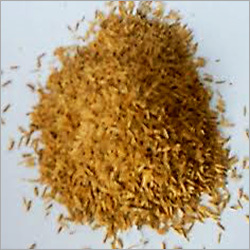 Rice Husk