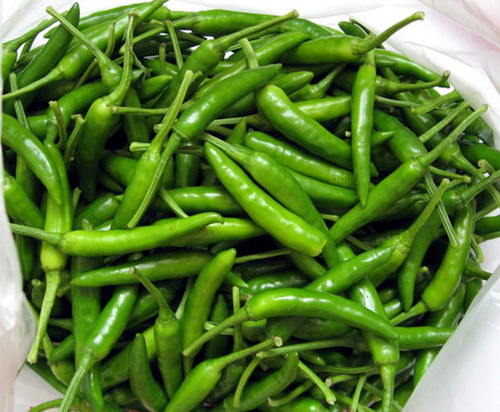 ताज़ी हरी मिर्च