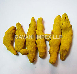 हल्दी की अंगुली