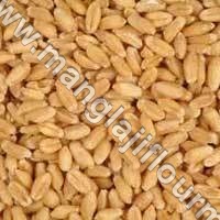 संपूर्ण गेहूँ के अनाज