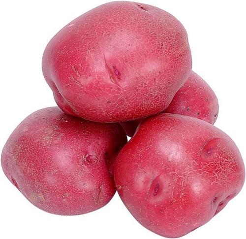 लाल आलू