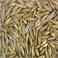 बांस के बीज