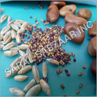 हरा खाद बीज