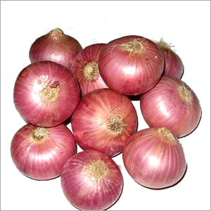 लाल प्याज