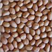 मूंगफली के दाने