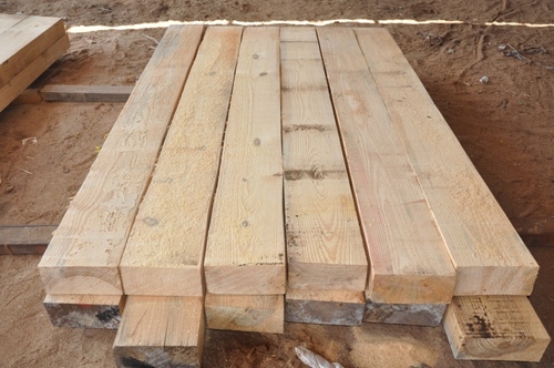 पाइन वुड